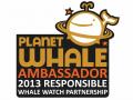 Responsible Whale Watch Ambassador